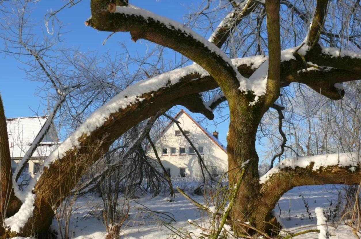 Kulturgutleben Boutiquehotel Seminarhaus Mollenbeck Экстерьер фото
